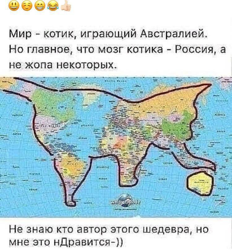 Это котик