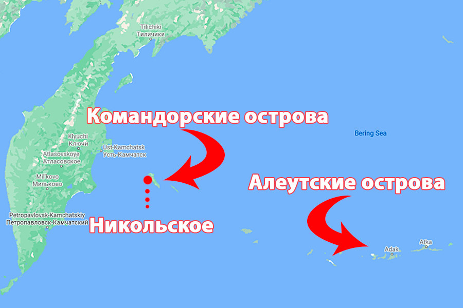 Фотографии ПРИПРАВА КОМАНДОРСКИЕ ОСТРОВА
