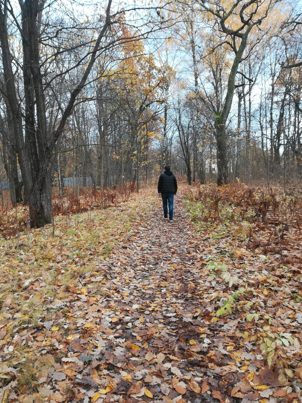 Осенние прогулки с детьми. Поздняя осень в лесу. Семья в лесу. Семейная фотосессия осень в куртках. Фотосъемка в туманном лесу.