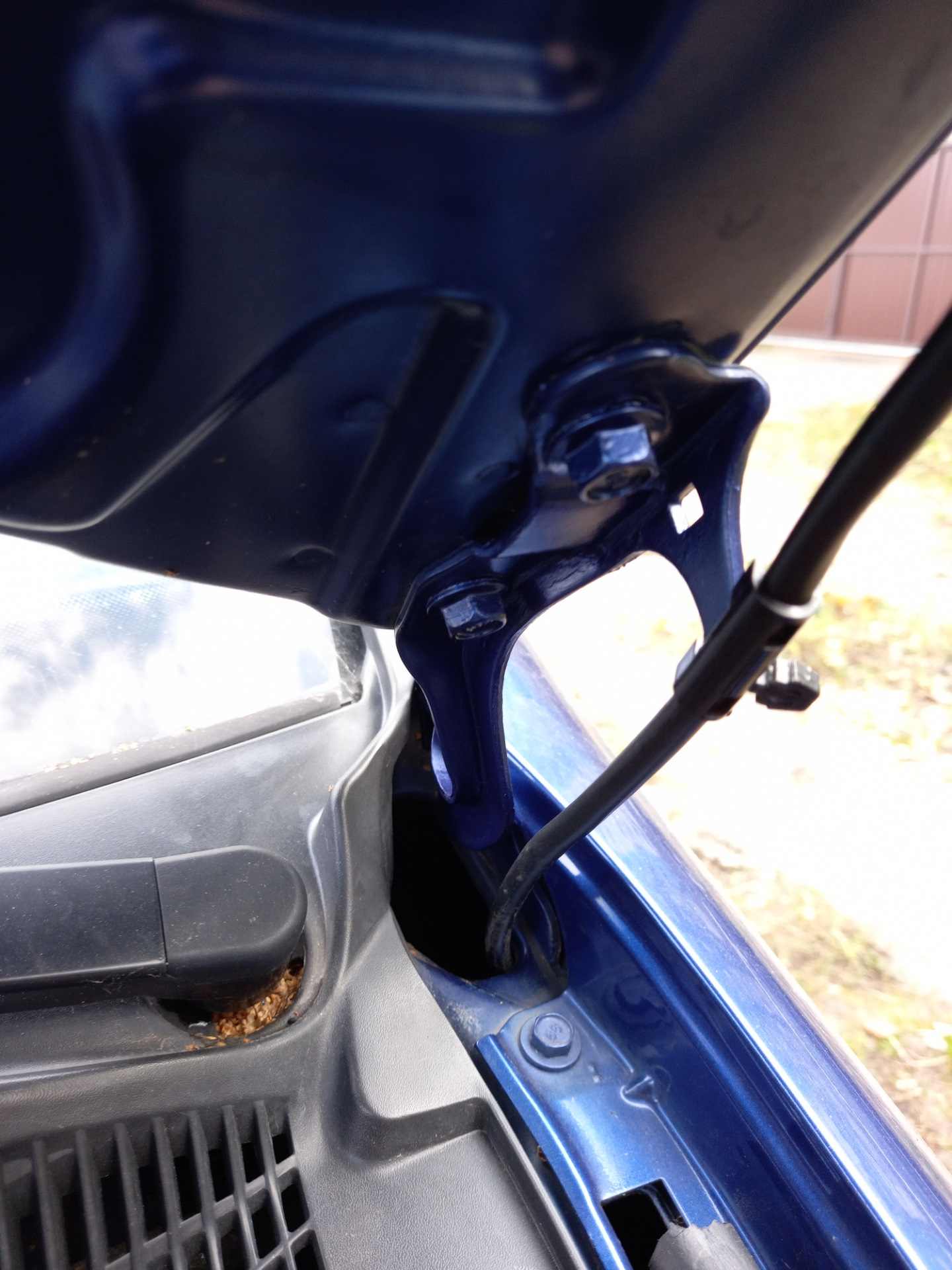 Подкраска облезших элементов кузова и замена лампы стоп-сигнала левой ...