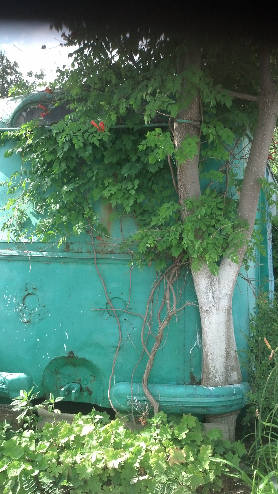 Вопрос про противотуманки — Nissan Almera Classic (B10), 1,6 л, 2008 ...