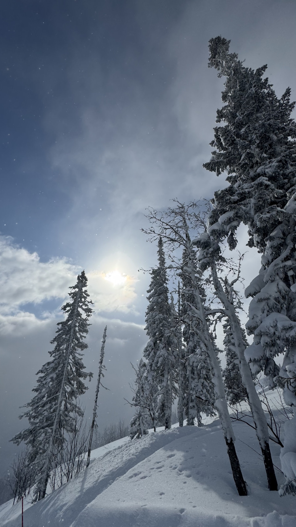 Фото в бортжурнале Skoda Kodiaq (1G)