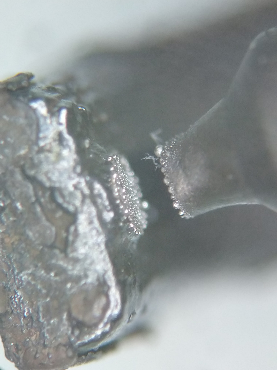 Фото в бортжурнале Audi A4 (B7)