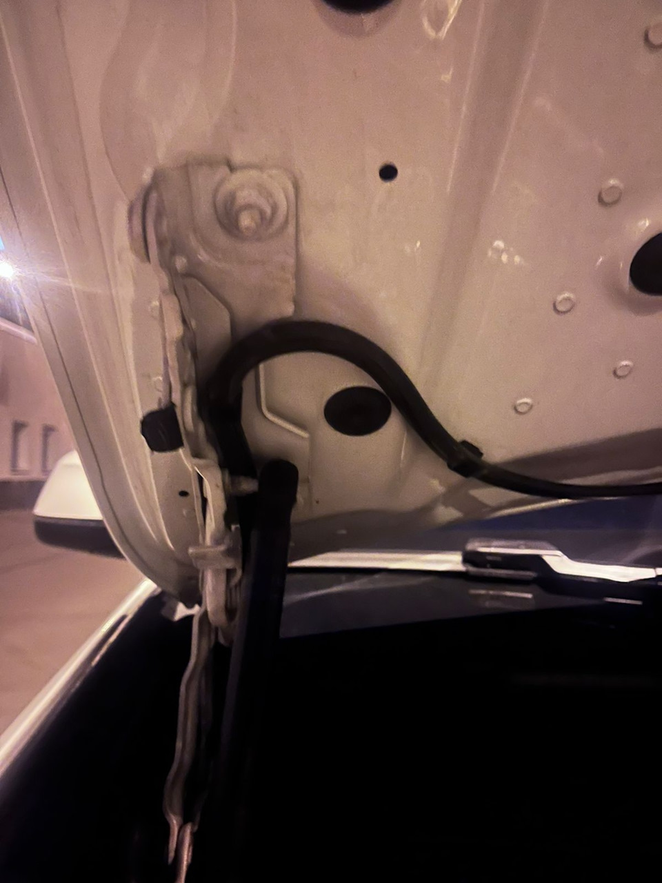 Фото в бортжурнале BMW X3 (G01)