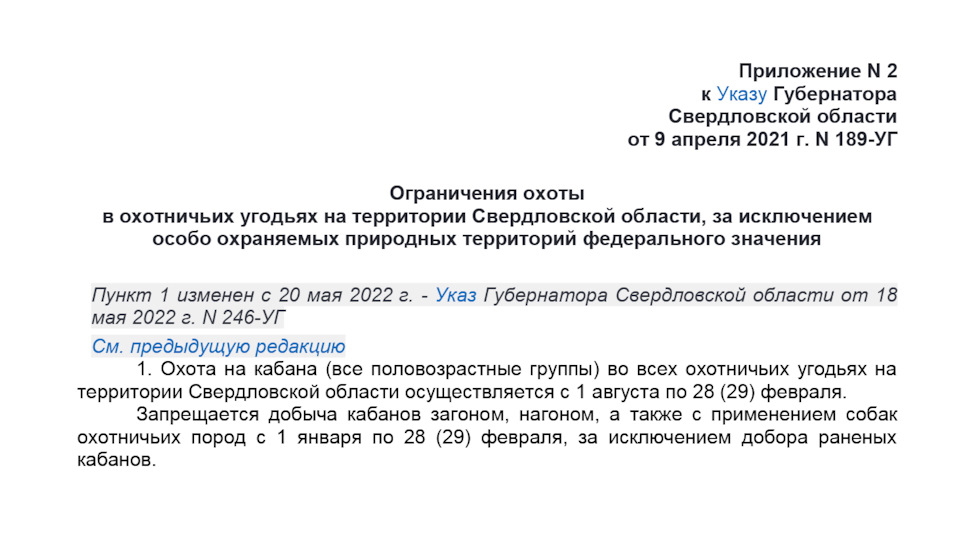 Охота на кабана: 10 важных советов про которые нельзя забывать