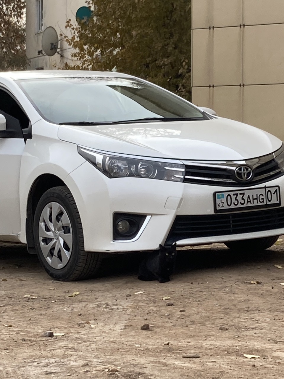 Тойота не ломается говорили они. — Toyota Corolla (160), 1,6 л, 2013 года |  поломка | DRIVE2