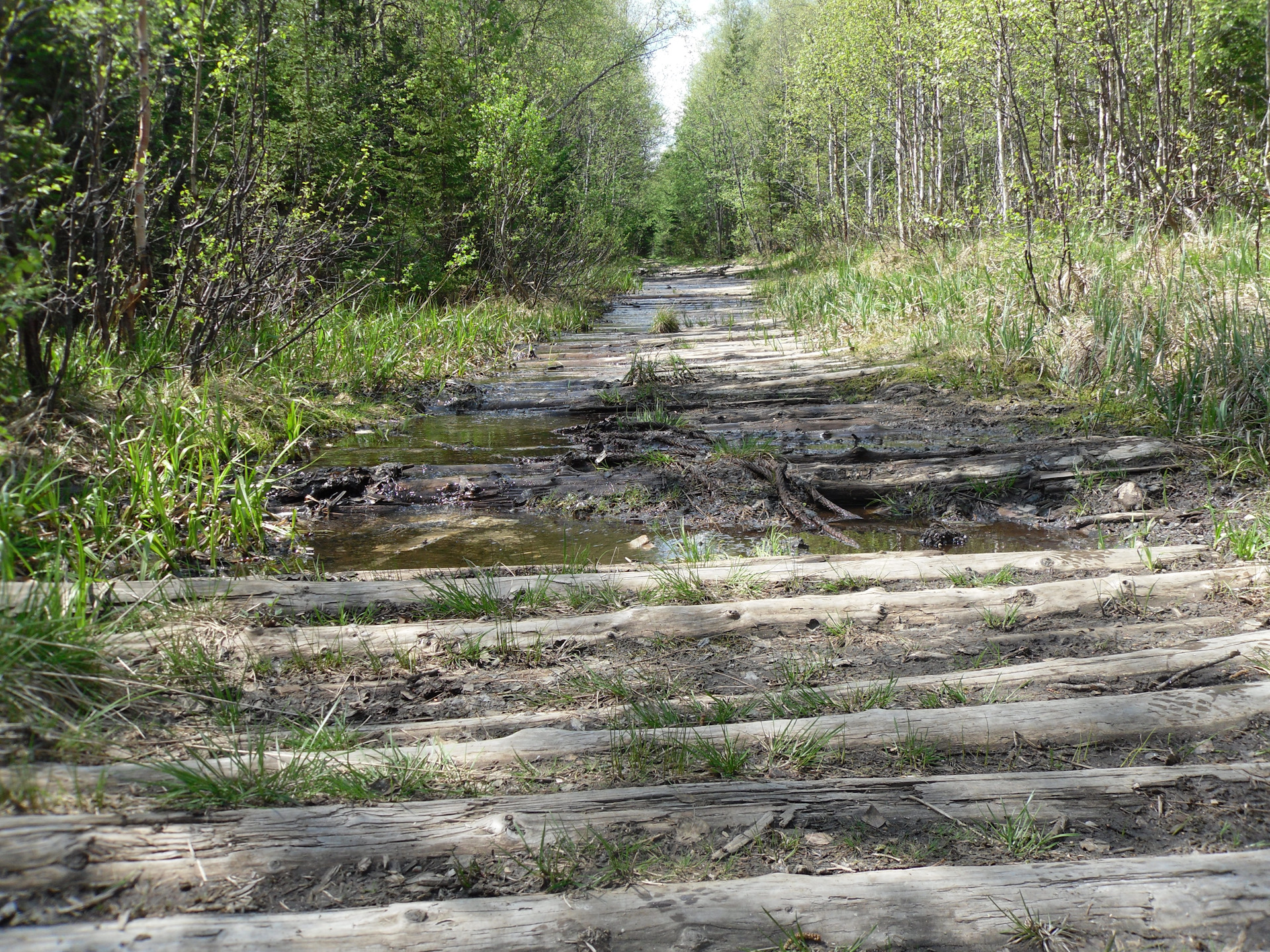 Ремонт коробки и неожиданные неприятности — Lada 2114, 1,5 л, 2002 года ...