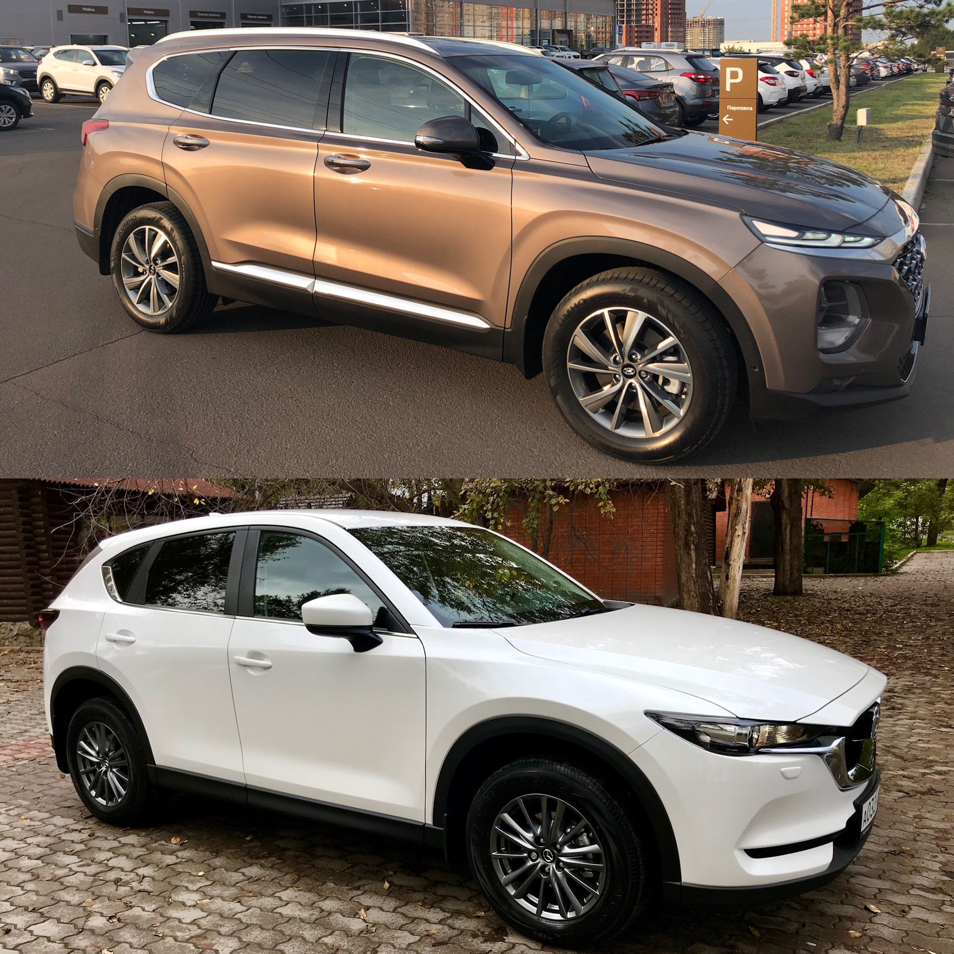 Сравнение Hyundai Santa Fe и Mazda CX-5 — Hyundai Santa Fe (4G), 2,4 л,  2019 года | наблюдение | DRIVE2