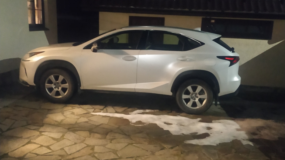 92 или 95 — Lexus NX (1G), 2 л, 2020 года | заправка | DRIVE2