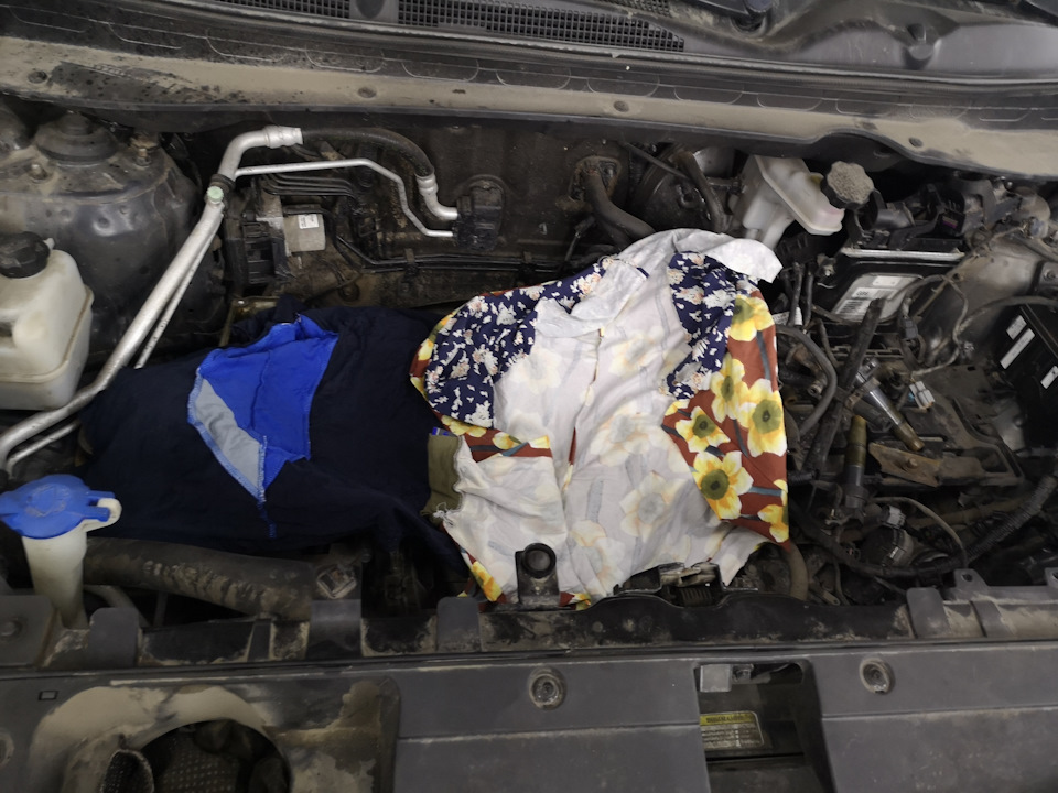 Фото в бортжурнале KIA Sportage (3G)