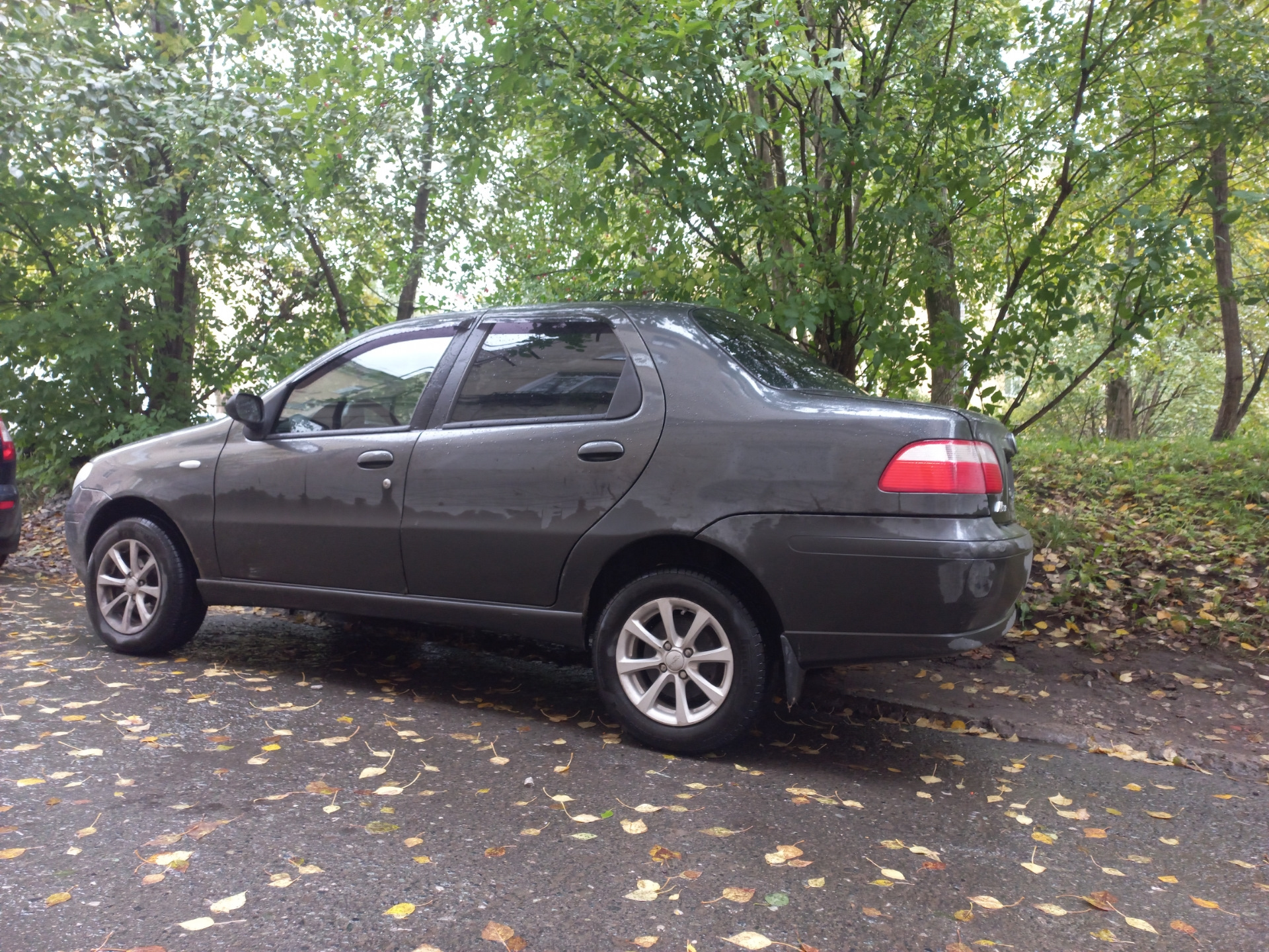 Задние пружины — FIAT Albea, 1,4 л, 2008 года | плановое ТО | DRIVE2