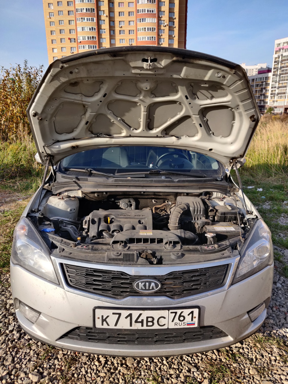 Утеплитель капота — KIA Ceed SW (1G), 1,6 л., 2012 года | аксессуары ...