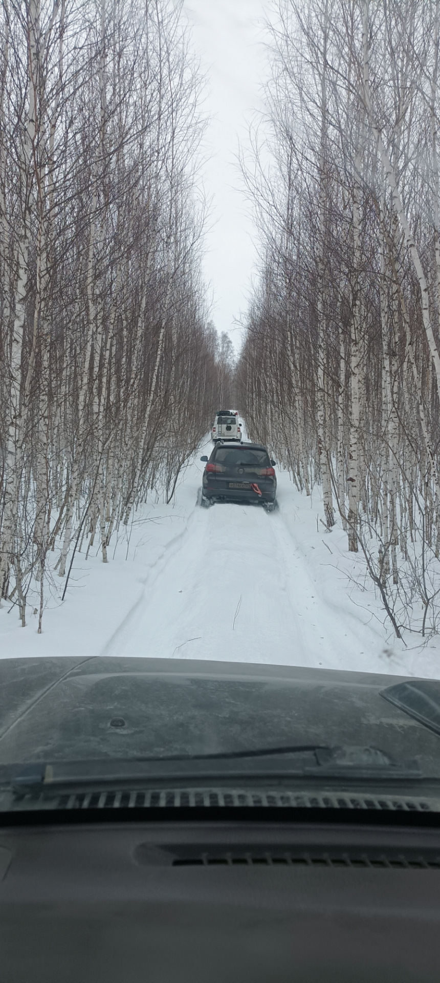 Валим из города в лес 🌲❄️ 🏕️ — Nissan Patrol (Y61), 4,2 л, 1998 года |  покатушки | DRIVE2