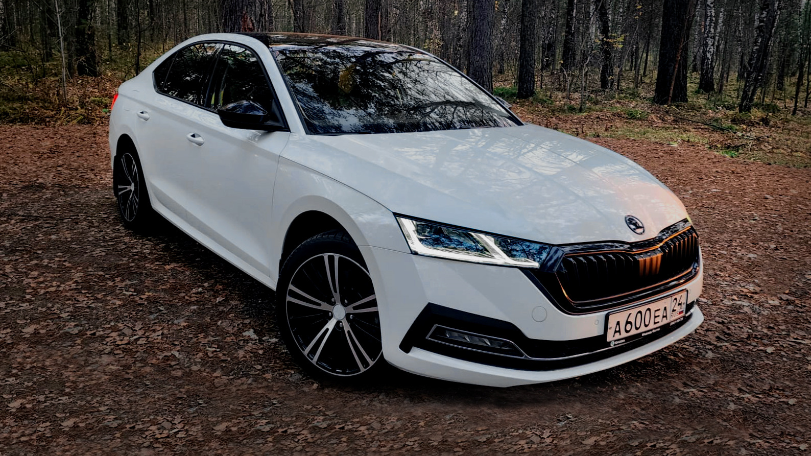 Skoda Octavia A8 Mk4 2.0 бензиновый 2021 | 2.0 White Noise 🟢 на DRIVE2