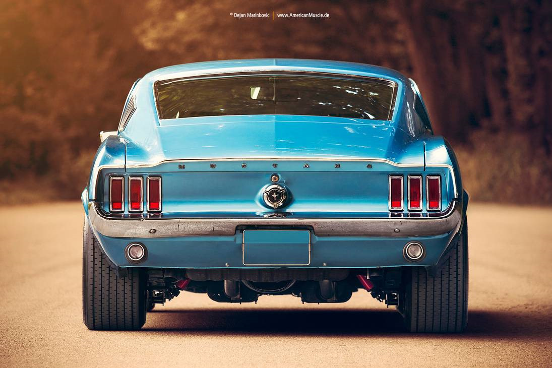 Ford Shelby gt500 сзади