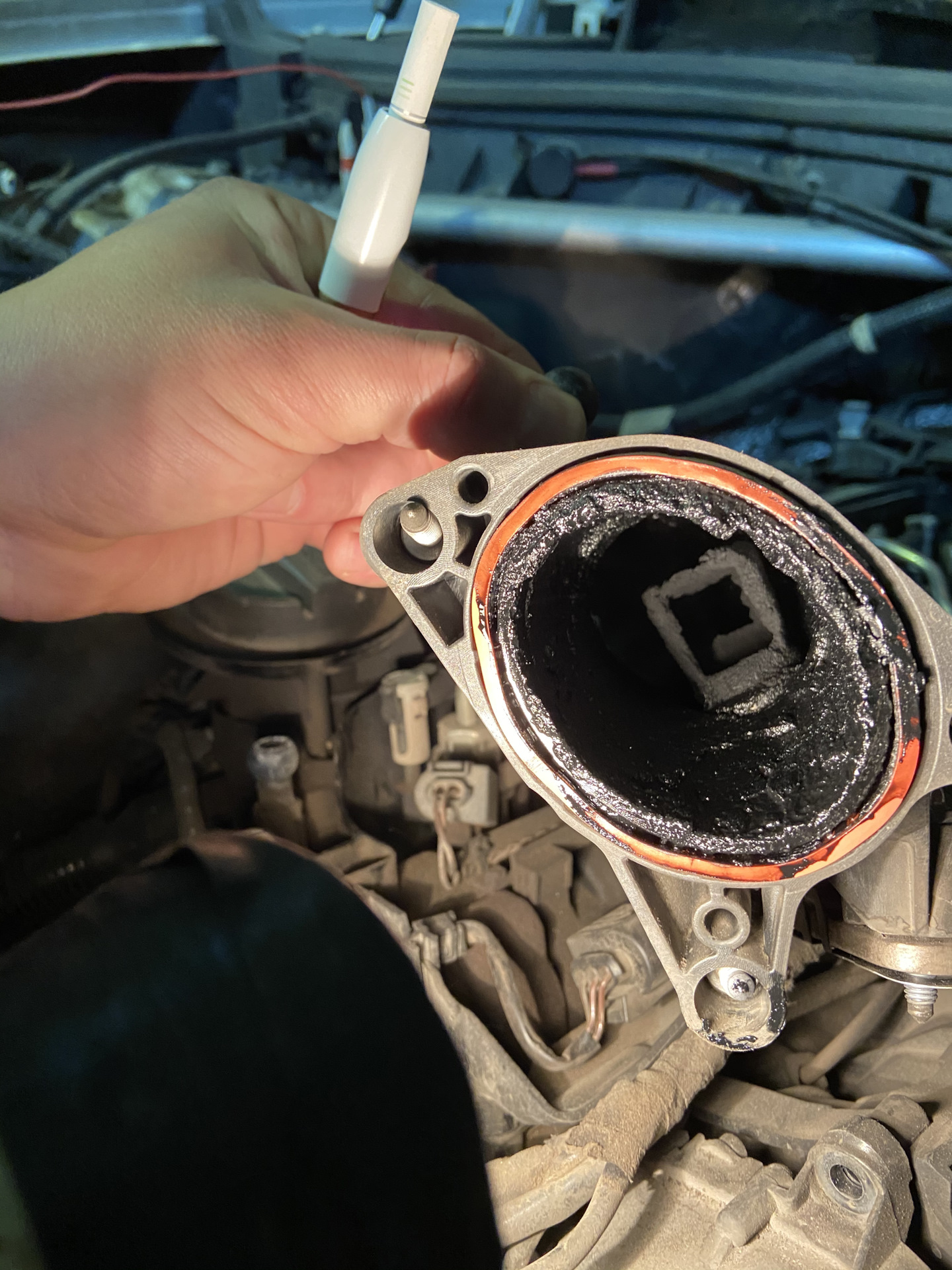 Чистка зубов зубной щеткой. Программа для чистки реестра. Памятка чистки зубов. Чистка ошибок. Чистка ошибок.