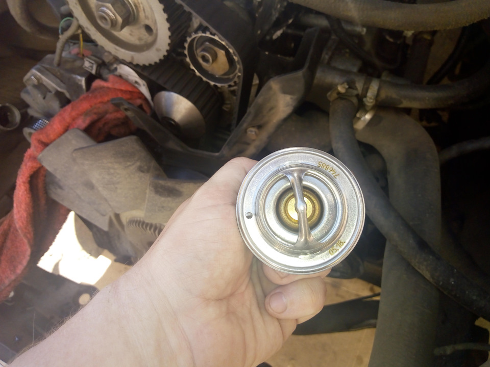 Термостат ГАЗ 560 — ГАЗ Газель, 2,1 л, 2006 года | своими руками | DRIVE2