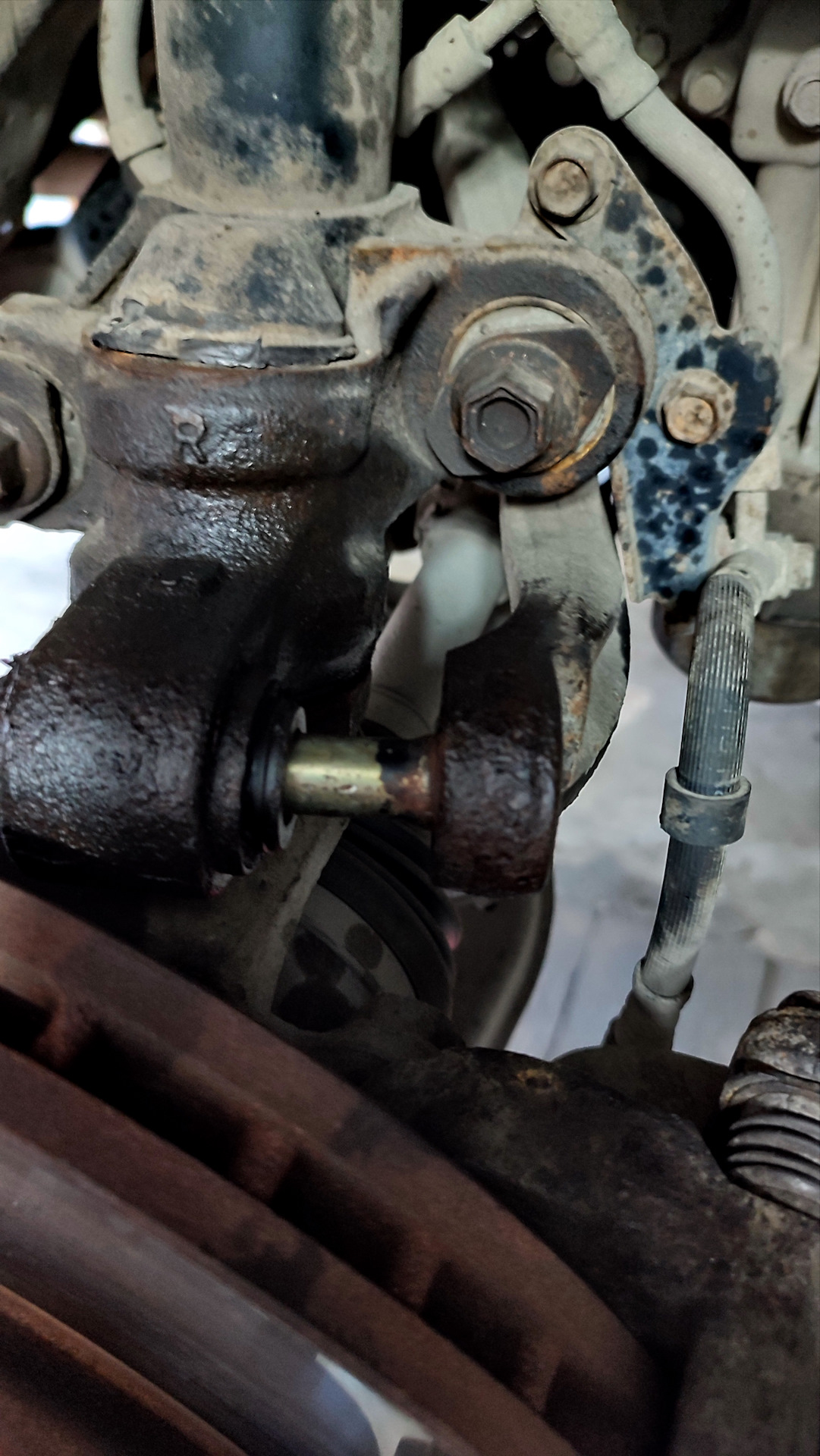 Замена верхних рычагов. TRISCAN smartparts. — Nissan Primera Wagon (P12 ...