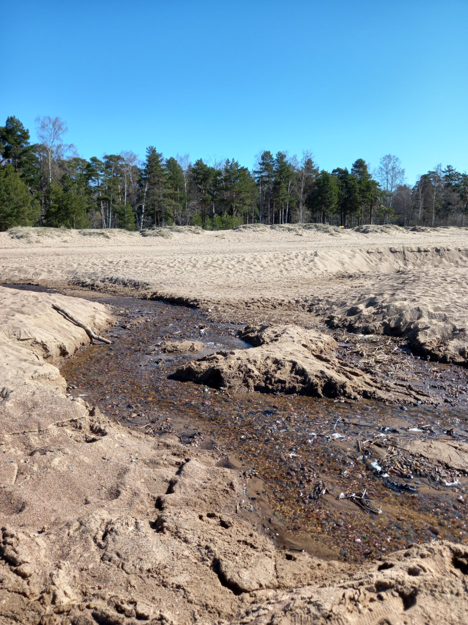 Фото в бортжурнале Renault Sandero 2G