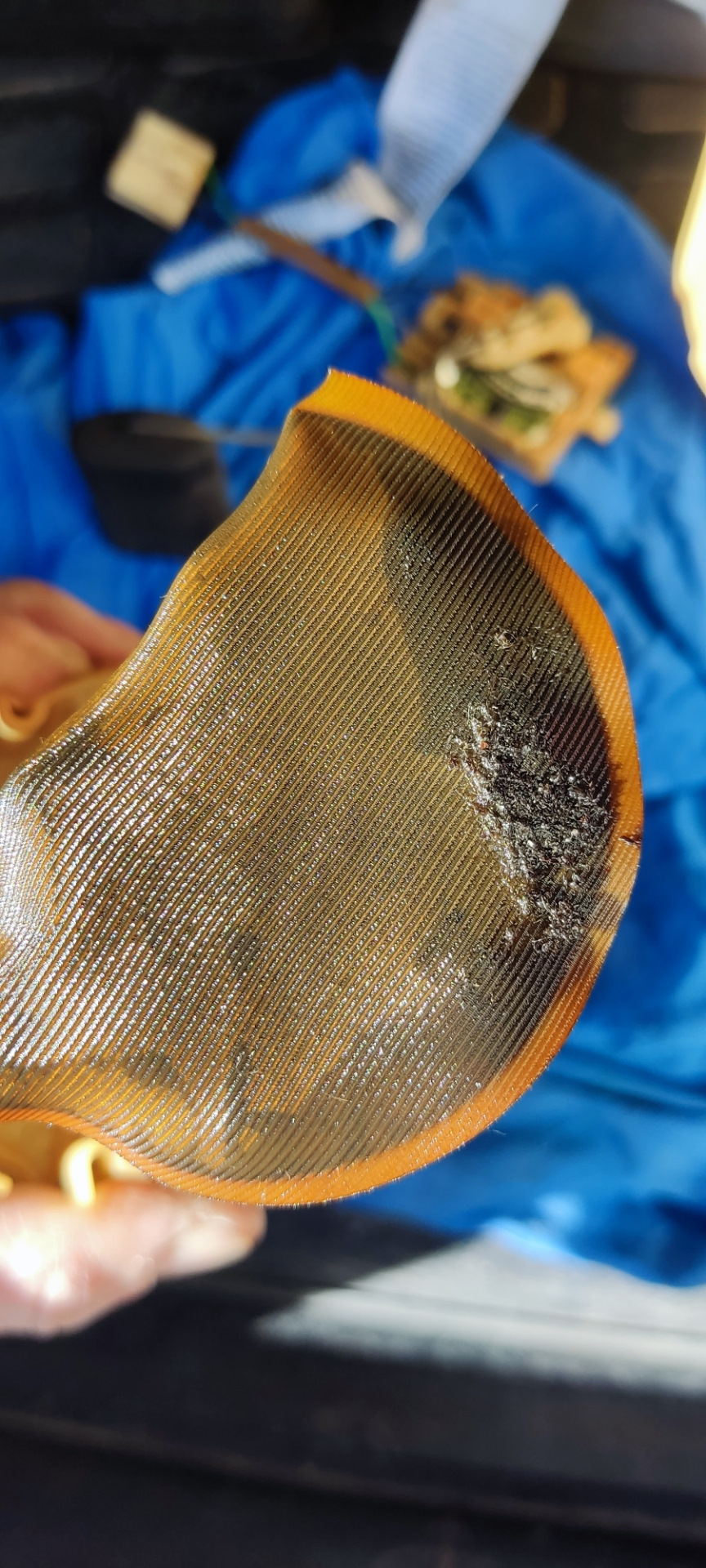 #87 Замена топливного фильтра, салонного. Чистка дросселя. — Hyundai ...