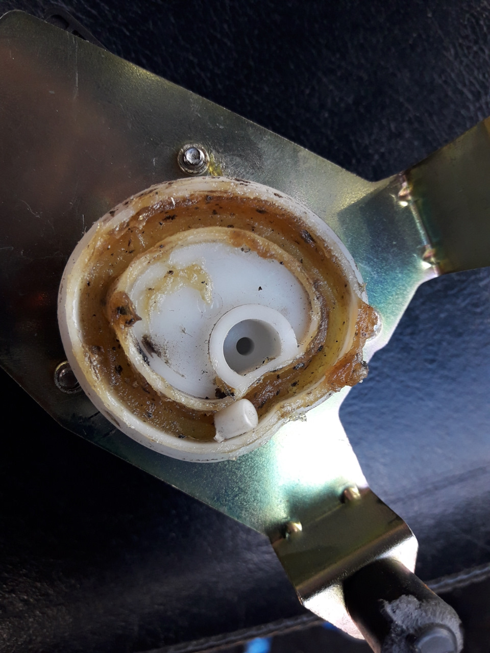 Фото в бортжурнале Great Wall Hover