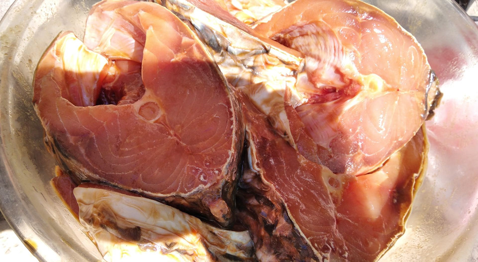 сазан на углях на решетке рецепт с фото. Смотреть фото сазан на углях на решетке рецепт с фото. Смотреть картинку сазан на углях на решетке рецепт с фото. Картинка про сазан на углях на решетке рецепт с фото. Фото сазан на углях на решетке рецепт с фото сазан на углях на решетке рецепт с фото. Смотреть фото сазан на углях на решетке рецепт с фото. Смотреть картинку сазан на углях на решетке рецепт с фото. Картинка про сазан на углях на решетке рецепт с фото. Фото сазан на углях на решетке рецепт с фото