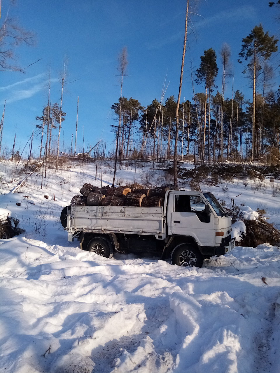 Итоги заготовки дров 19 — 20 гг. — Toyota Dyna, 2,8 л, 1995 года | другое |  DRIVE2