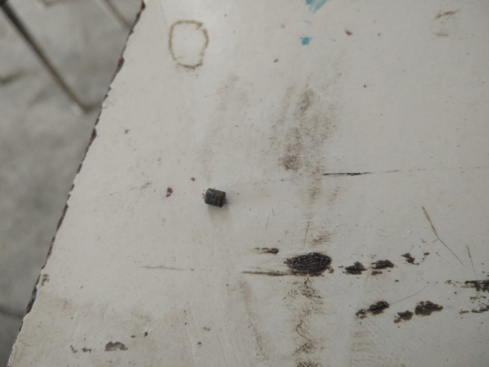 Бл…а это откуда… — Volkswagen Golf Mk4