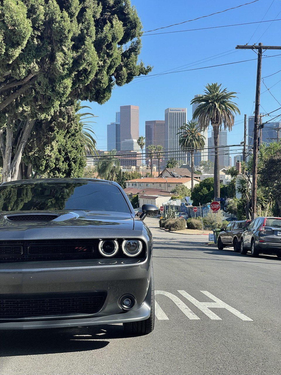 Первое знакомство — Dodge Challenger, 5,7 л, 2022 года | покупка машины |  DRIVE2