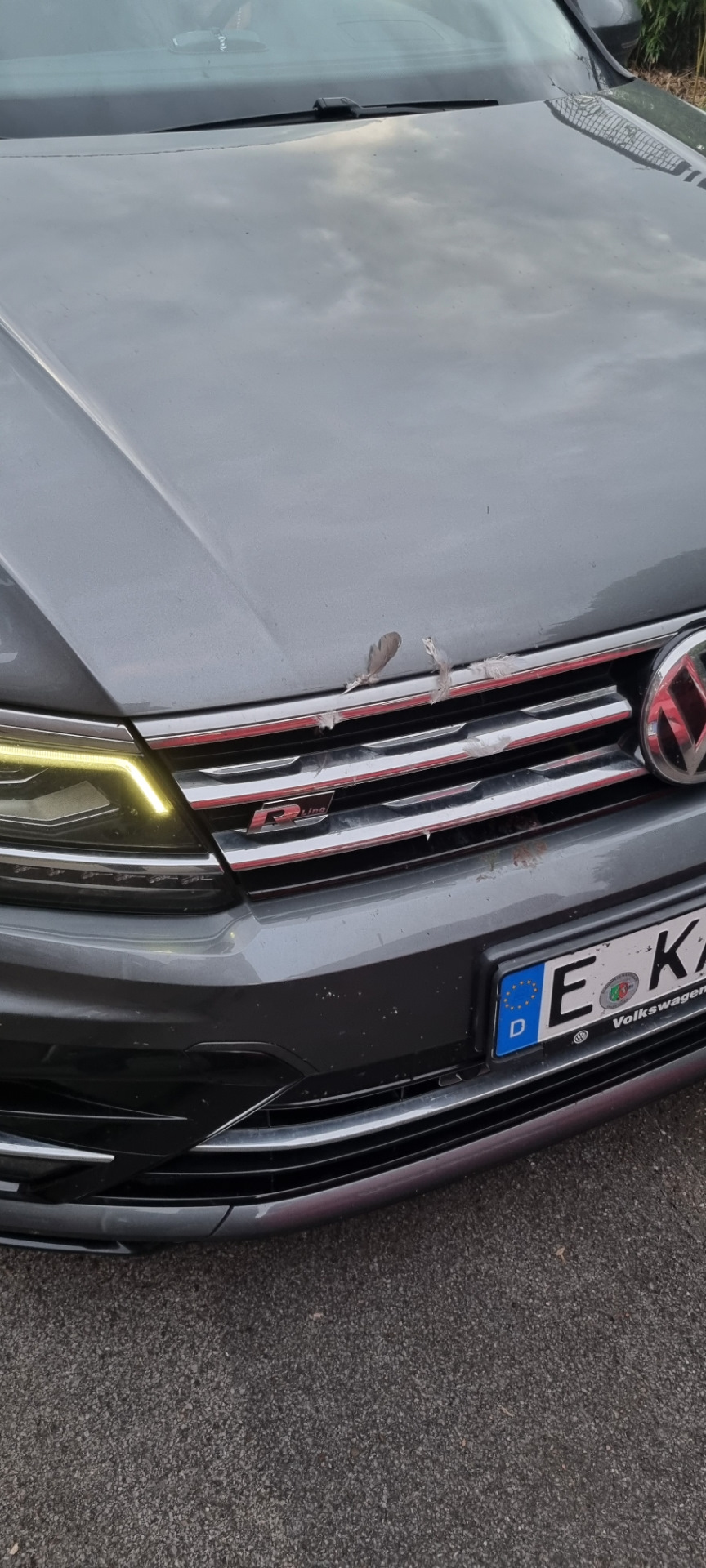 Жена сбила птицу… — Volkswagen Tiguan (2G), 2 л, 2019 года | ДТП | DRIVE2