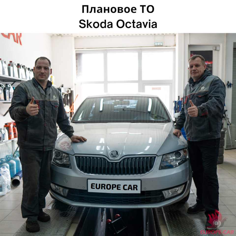 Плановое ТО Skoda Octavia — Europe-Car на DRIVE2