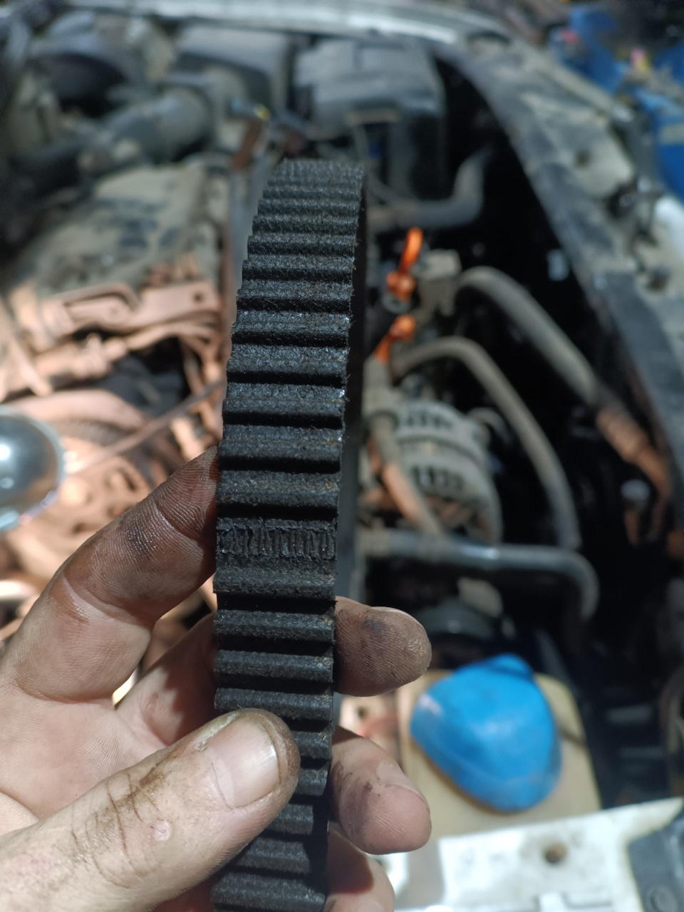 Фото в бортжурнале Skoda Octavia Combi A4 Mk1