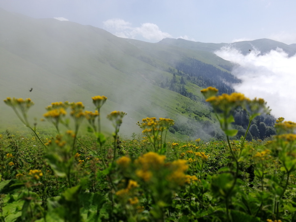 Фото в бортжурнале Toyota Hilux Surf (2G)