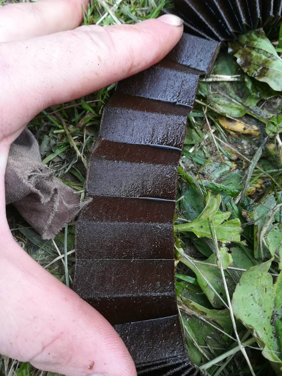 Lc 1501 ΡΠΈΠ»ΡΡΡ ΠΌΠ°ΡΠ»ΡΠ½ΡΠΉ lynx Π½Π° ΠΊΠ°ΠΊΡΡ ΠΌΠ°ΡΠΈΠ½Ρ. Π‘ΠΌΠΎΡΡΠ΅ΡΡ ΡΠΎΡΠΎ Lc 1501 ΡΠΈΠ»ΡΡΡ ΠΌΠ°ΡΠ»ΡΠ½ΡΠΉ lynx Π½Π° ΠΊΠ°ΠΊΡΡ ΠΌΠ°ΡΠΈΠ½Ρ. Π‘ΠΌΠΎΡΡΠ΅ΡΡ ΠΊΠ°ΡΡΠΈΠ½ΠΊΡ Lc 1501 ΡΠΈΠ»ΡΡΡ ΠΌΠ°ΡΠ»ΡΠ½ΡΠΉ lynx Π½Π° ΠΊΠ°ΠΊΡΡ ΠΌΠ°ΡΠΈΠ½Ρ. ΠΠ°ΡΡΠΈΠ½ΠΊΠ° ΠΏΡΠΎ Lc 1501 ΡΠΈΠ»ΡΡΡ ΠΌΠ°ΡΠ»ΡΠ½ΡΠΉ lynx Π½Π° ΠΊΠ°ΠΊΡΡ ΠΌΠ°ΡΠΈΠ½Ρ. Π€ΠΎΡΠΎ Lc 1501 ΡΠΈΠ»ΡΡΡ ΠΌΠ°ΡΠ»ΡΠ½ΡΠΉ lynx Π½Π° ΠΊΠ°ΠΊΡΡ ΠΌΠ°ΡΠΈΠ½Ρ Lc 1501 ΡΠΈΠ»ΡΡΡ ΠΌΠ°ΡΠ»ΡΠ½ΡΠΉ lynx Π½Π° ΠΊΠ°ΠΊΡΡ ΠΌΠ°ΡΠΈΠ½Ρ. Π‘ΠΌΠΎΡΡΠ΅ΡΡ ΡΠΎΡΠΎ Lc 1501 ΡΠΈΠ»ΡΡΡ ΠΌΠ°ΡΠ»ΡΠ½ΡΠΉ lynx Π½Π° ΠΊΠ°ΠΊΡΡ ΠΌΠ°ΡΠΈΠ½Ρ. Π‘ΠΌΠΎΡΡΠ΅ΡΡ ΠΊΠ°ΡΡΠΈΠ½ΠΊΡ Lc 1501 ΡΠΈΠ»ΡΡΡ ΠΌΠ°ΡΠ»ΡΠ½ΡΠΉ lynx Π½Π° ΠΊΠ°ΠΊΡΡ ΠΌΠ°ΡΠΈΠ½Ρ. ΠΠ°ΡΡΠΈΠ½ΠΊΠ° ΠΏΡΠΎ Lc 1501 ΡΠΈΠ»ΡΡΡ ΠΌΠ°ΡΠ»ΡΠ½ΡΠΉ lynx Π½Π° ΠΊΠ°ΠΊΡΡ ΠΌΠ°ΡΠΈΠ½Ρ. Π€ΠΎΡΠΎ Lc 1501 ΡΠΈΠ»ΡΡΡ ΠΌΠ°ΡΠ»ΡΠ½ΡΠΉ lynx Π½Π° ΠΊΠ°ΠΊΡΡ ΠΌΠ°ΡΠΈΠ½Ρ