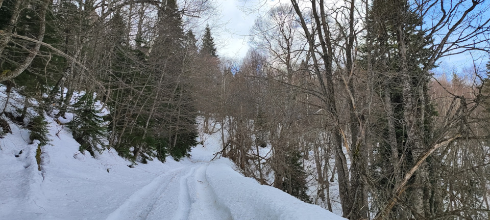 Фото в бортжурнале Mitsubishi Pajero (4G)