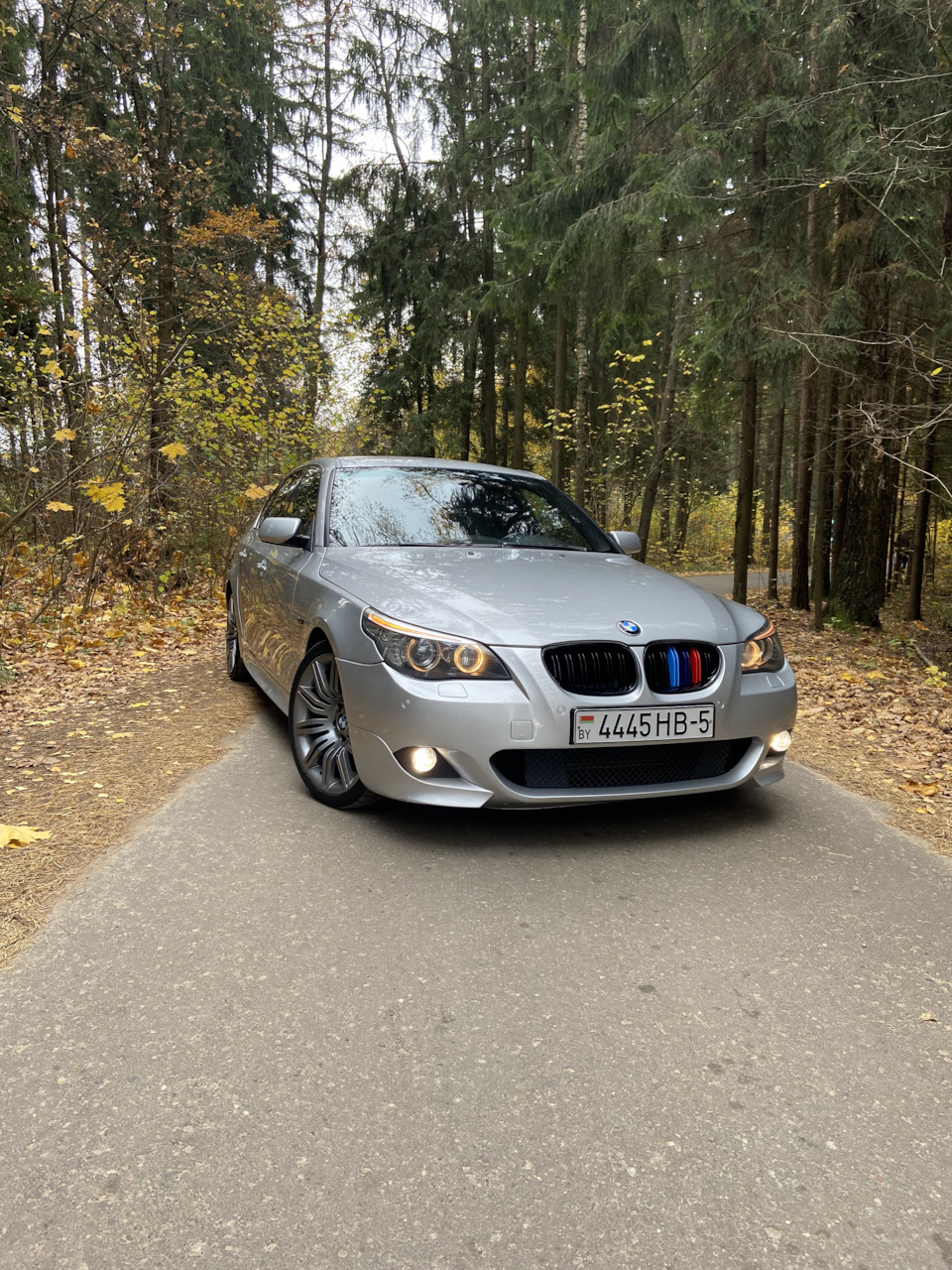 M-Pack и диски меняет авто кардинально! — BMW 5 series (E60), 3 л, 2007  года | просто так | DRIVE2