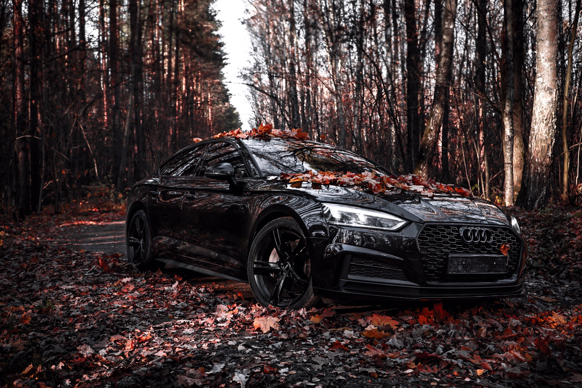 Audi a5 Sportback all Black
