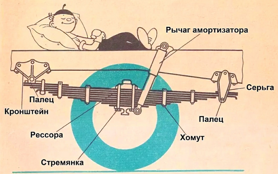 Строение рессоры рисунки описание