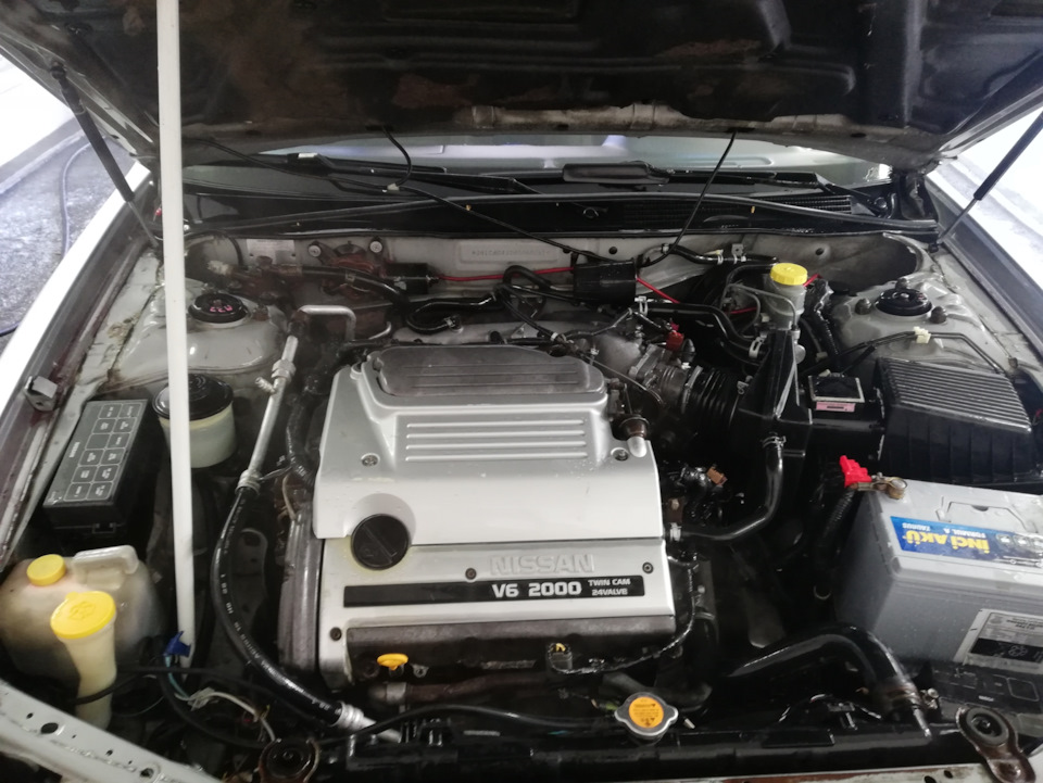 ТО — Nissan Maxima IV (A32), 2 л, 1998 года | поломка | DRIVE2