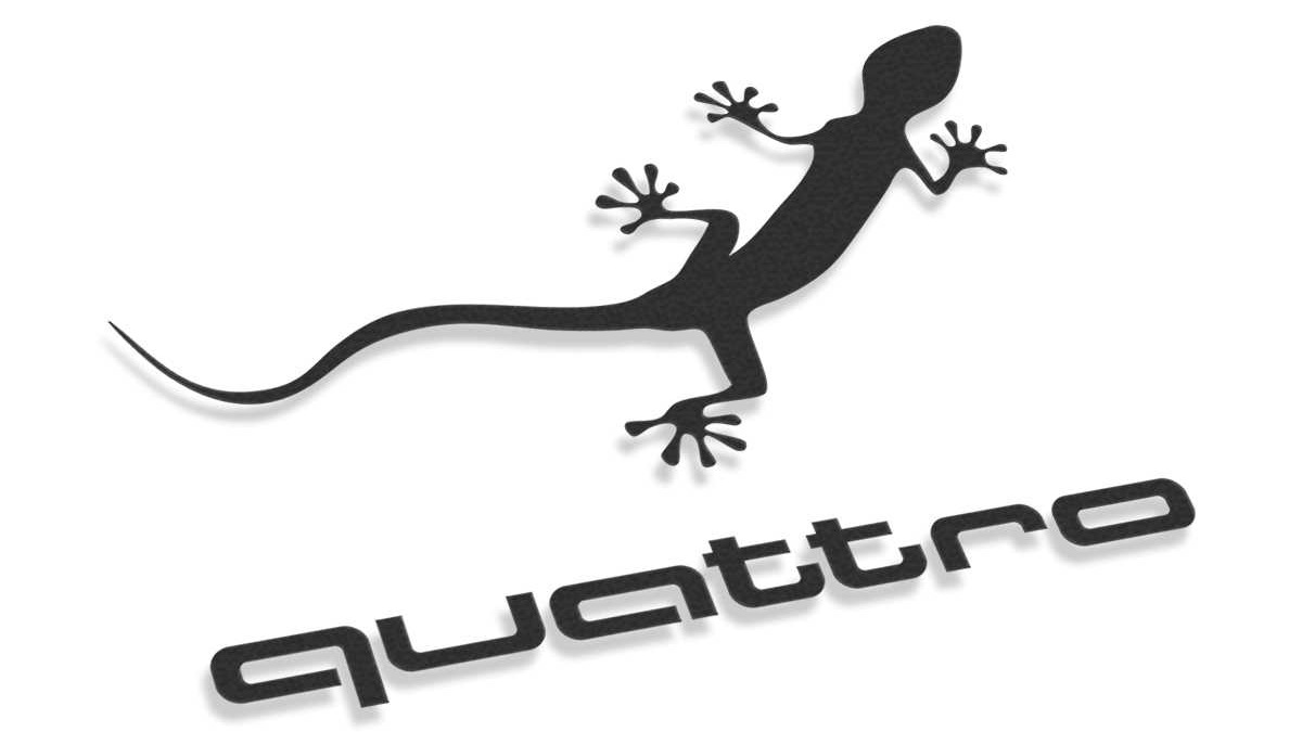 Audi Q5 (1G) 2.0 бензиновый 2013 | на DRIVE2