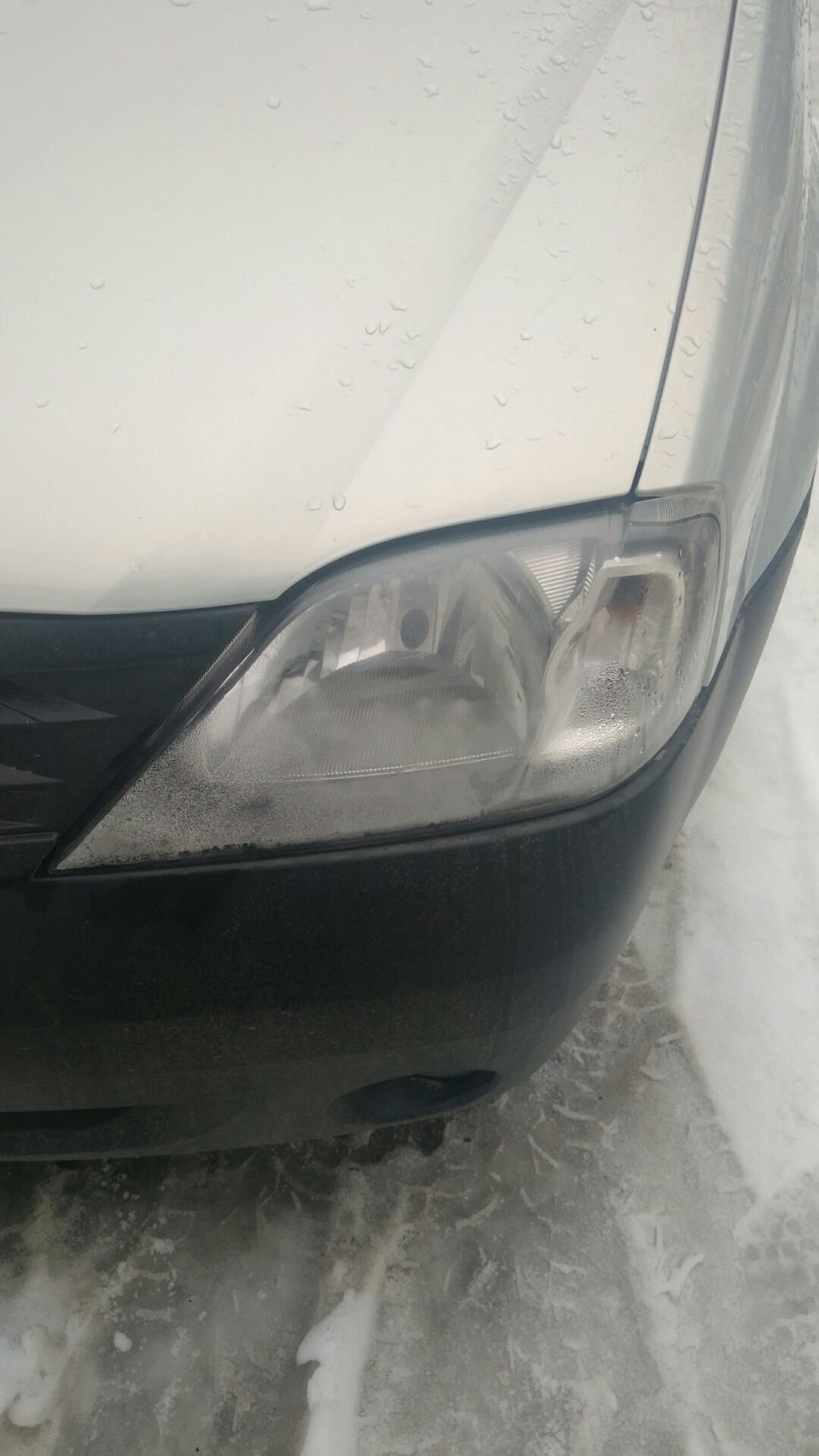 Жесткое запотевание фары — Renault Logan (1G), 1,6 л., 2008 года ...