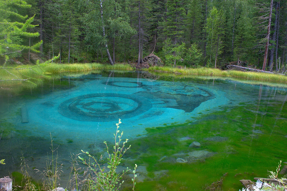 Установка мультируля — Skoda Yeti, 1,8 л., 2012 года | своими руками ...