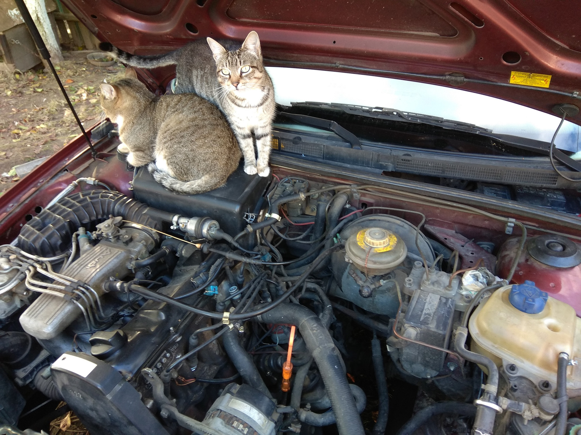 Дефлектор задней двери — DRIVE2