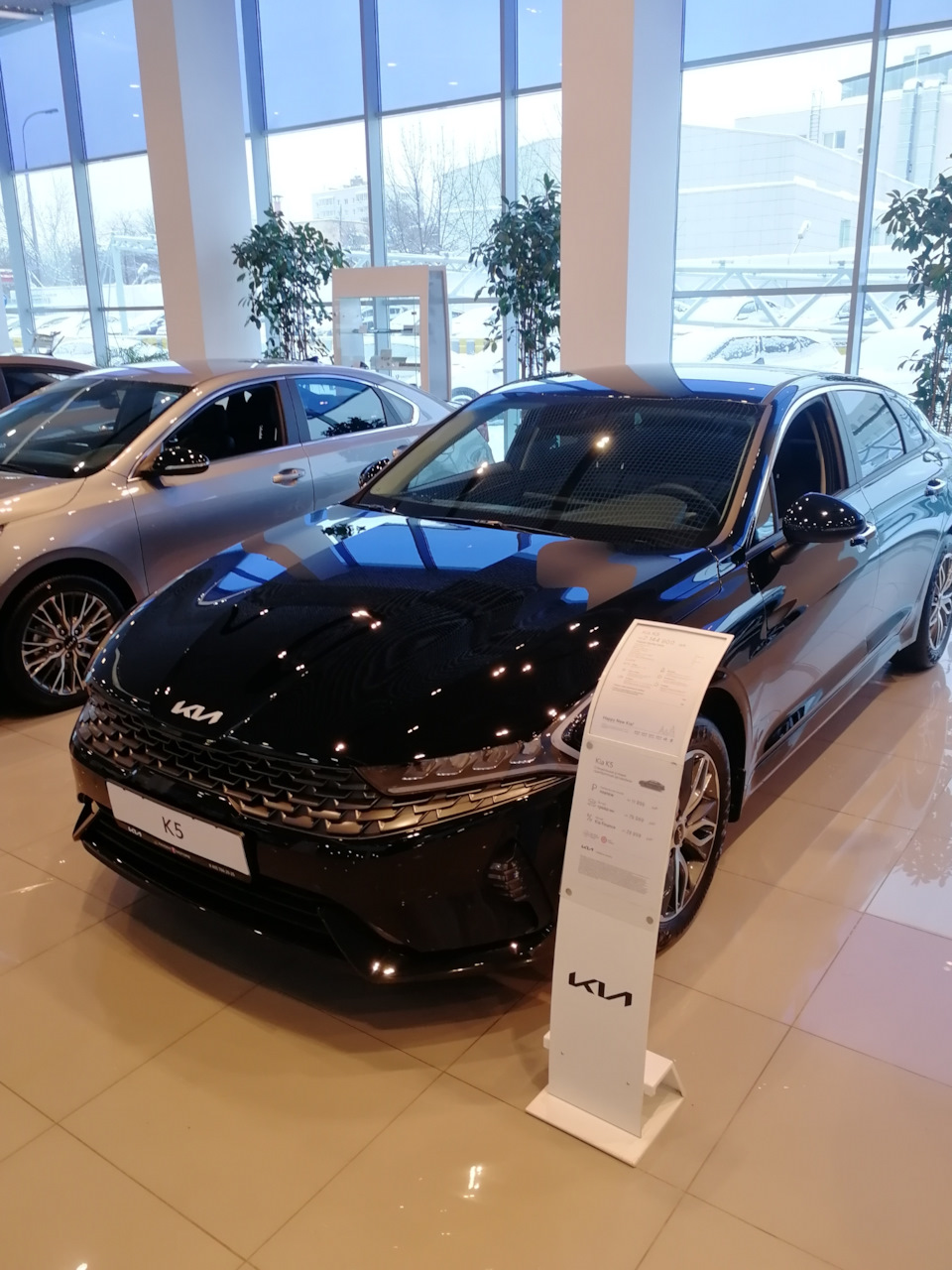 Фото в бортжурнале Renault Arkana