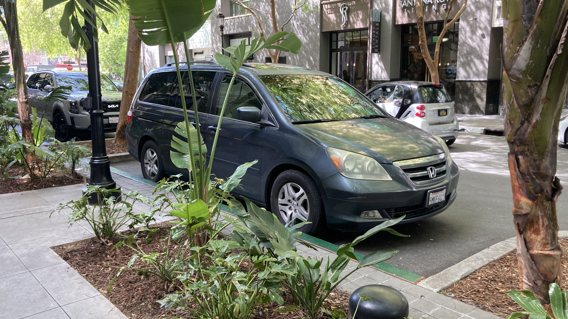 Honda Odyssey (USA) (3G) 3.5 бензиновый 2005 | Одиссей на DRIVE2