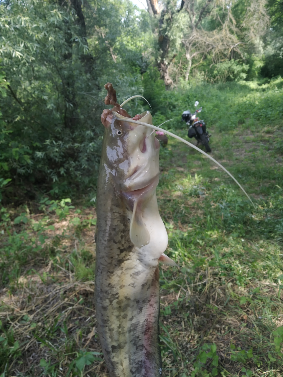 Фото в бортжурнале Honda Civic Hatchback (9G)