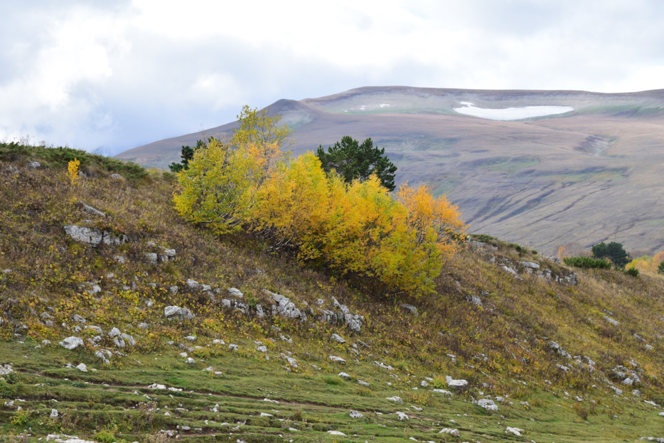 Фото в бортжурнале Renault Duster (1G)
