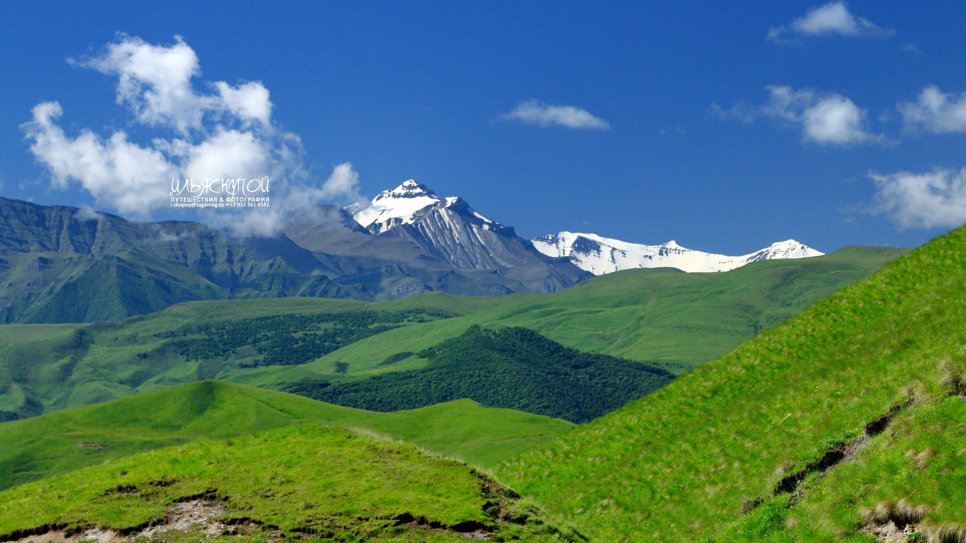Луга Дагестана Альпийские Дагестана