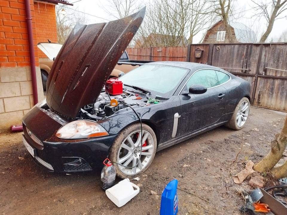 Jaguar xkr drive2