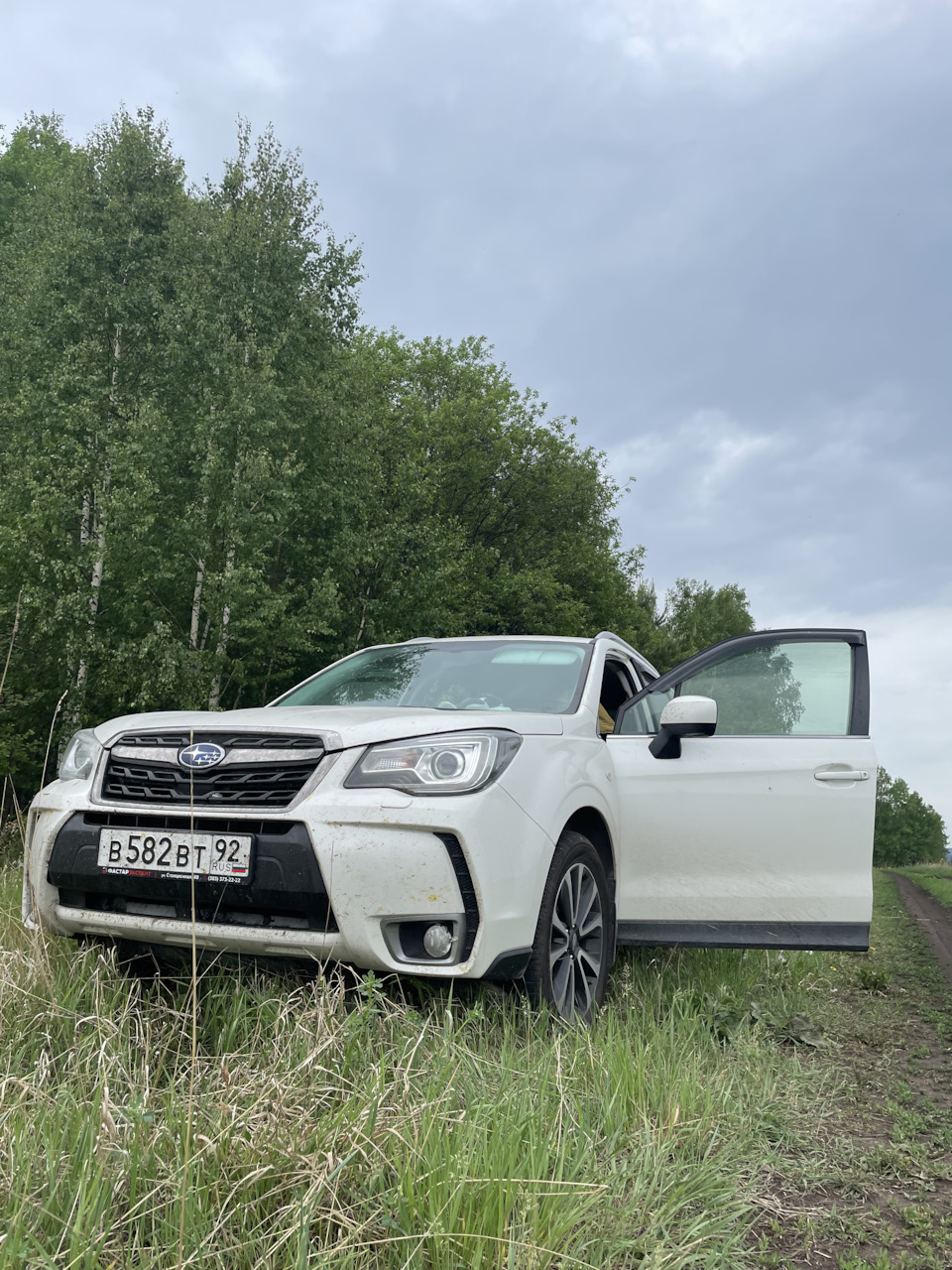 Новосибирск-Москва-Севастополь — Subaru Forester (SJ), 2 л, 2017 года |  путешествие | DRIVE2